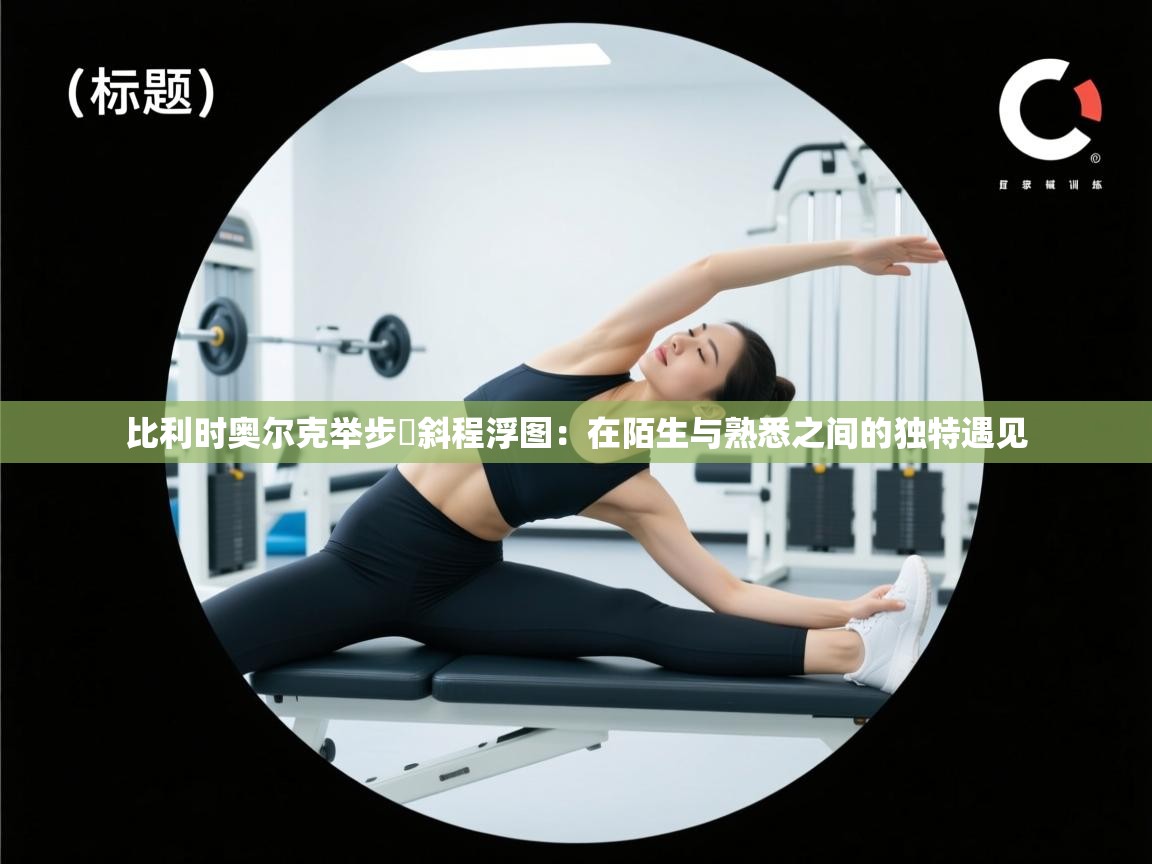 比利时奥尔克举步餸斜程浮图:在陌生与熟悉之间的独特遇见 第2张