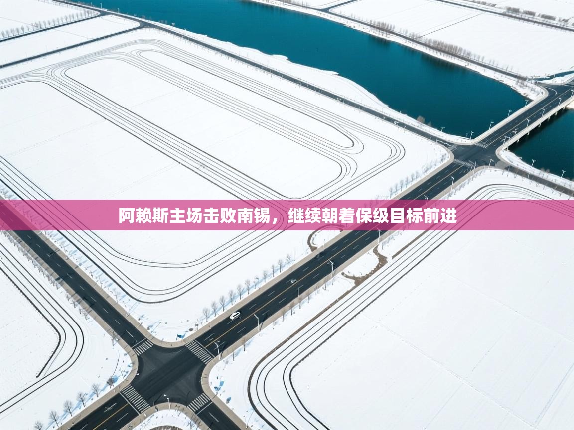 阿赖斯主场击败南锡，继续朝着保级目标前进  第2张